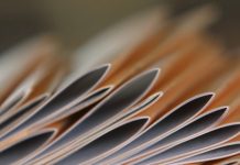 Jak wyglądają badania do książeczki sanepidowskiej? Jak wyglądają badania do książeczki sanepidowskiej